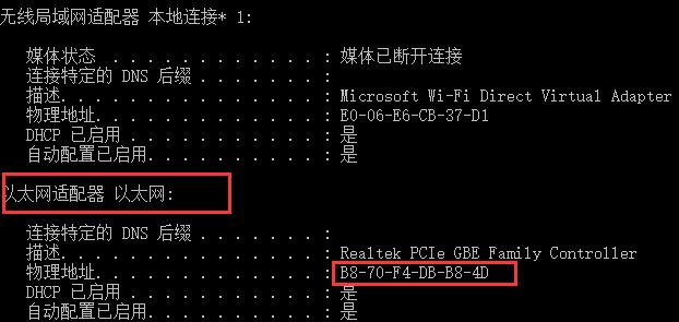 Windows10系统修改物理地址的方法