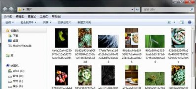 win7 64旗舰版系统批量更改照片的名字的方法