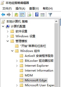 Windows10系统Edge浏览器不能播放网页视频的解决方法