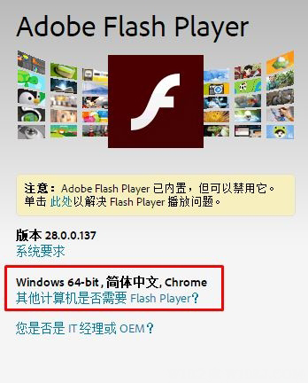 Windows10系统解决网页中无法播放视频的问题