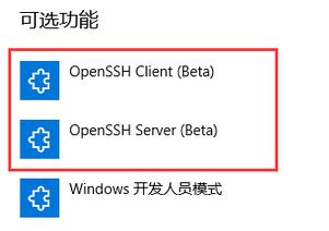 Windows10系统自带的Openssh的安装方法
