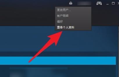 Windows10系统steam账号的17位数字id查看的方法