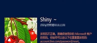 Windows8系统电脑密码提示错误的解决方法