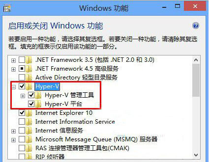 Windows8.1系统运行风暴语音出错的解决方法